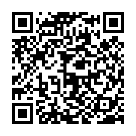 QR code for JIE439