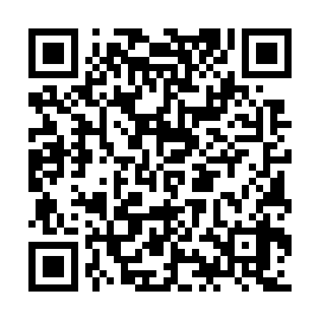 QR code for JIE738