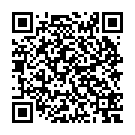 QR code for JII228