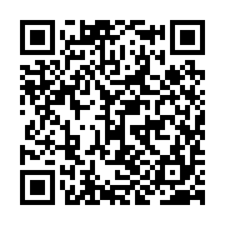 QR code for JII294