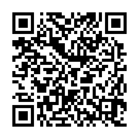 QR code for JIR382