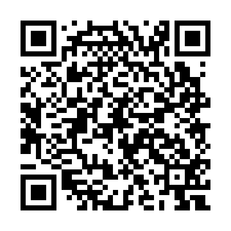 QR code for JLP313
