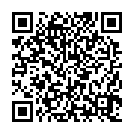 QR code for JOR307