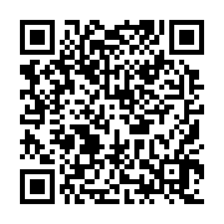 QR code for JOY306