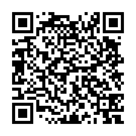 QR code for JPO438