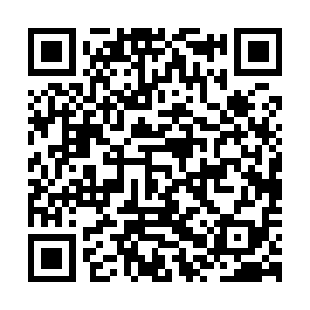 QR code for JPP919