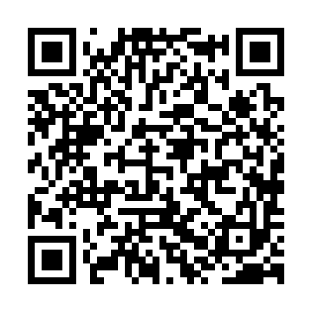QR code for JPX393