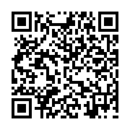 QR code for JSE334
