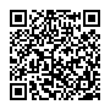 QR code for JSM496