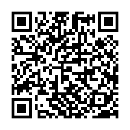 QR code for JSP029