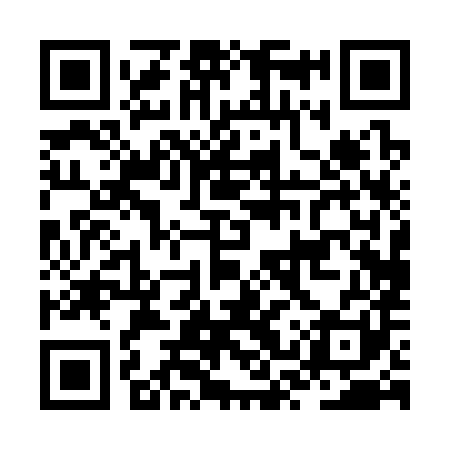 QR code for JSP381