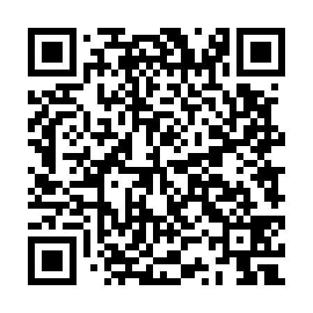 QR code for JST539