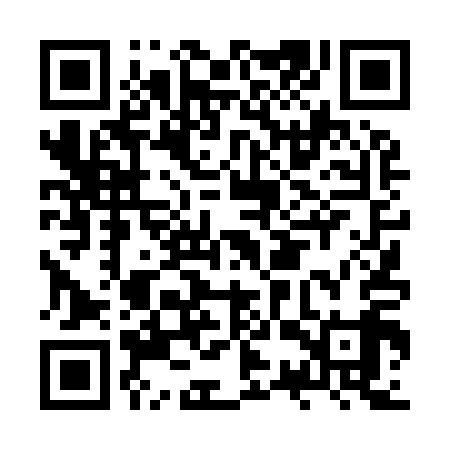 QR code for JST919