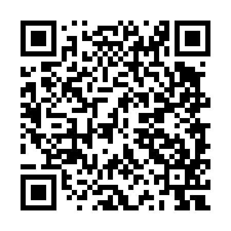 QR code for JVT497