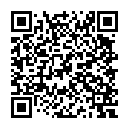 QR code for JVX441