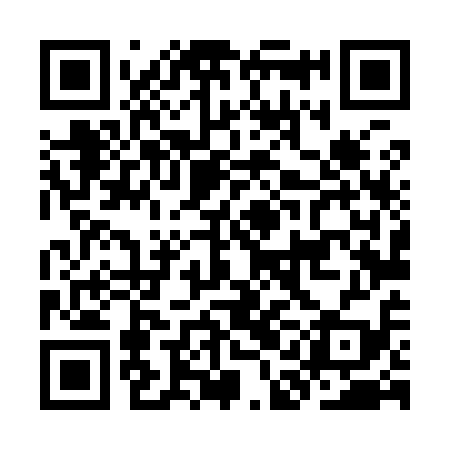 QR code for KAL919