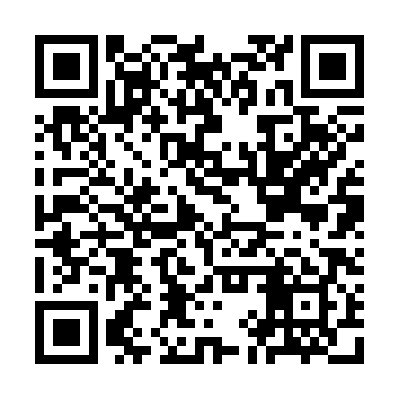 QR code for KIR389