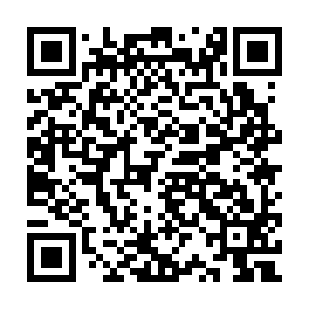QR code for KRA393