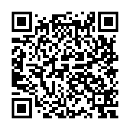 QR code for KRA919
