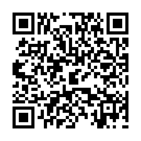 QR code for KSI383