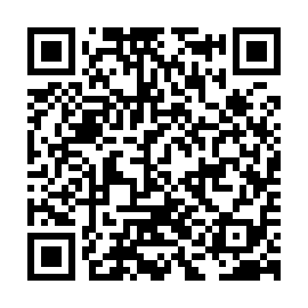 QR code for LAC919