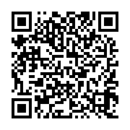 QR code for LAD919