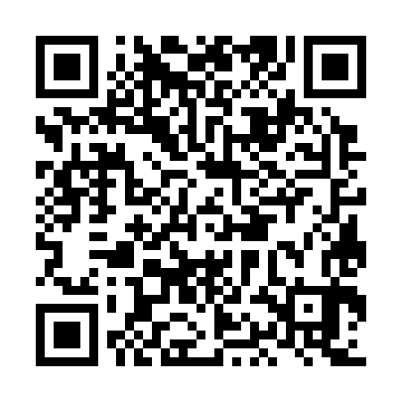 QR code for LAG383