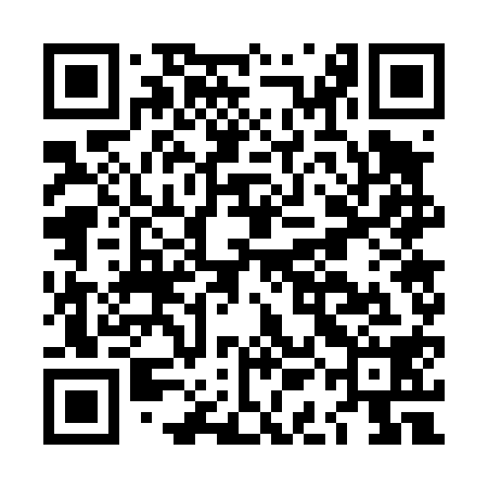 QR code for LAG418