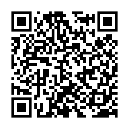 QR code for LAG451