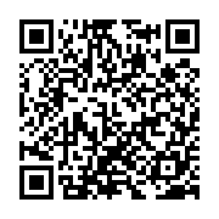 QR code for LAG555