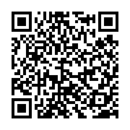 QR code for LAG658