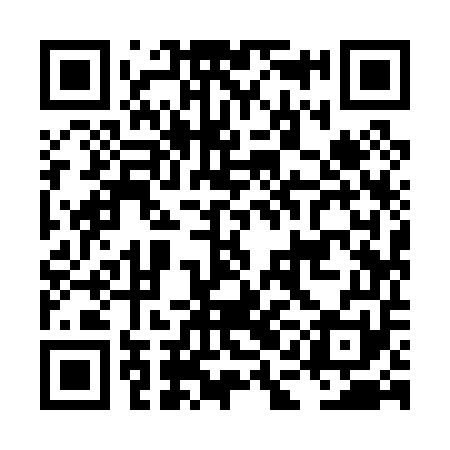 QR code for LAI051