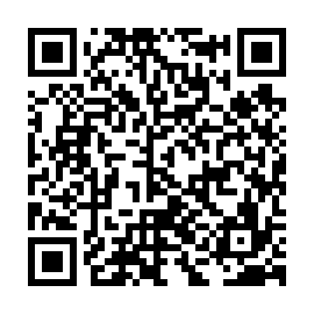 QR code for LAI636