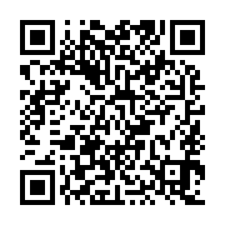QR code for LAN991