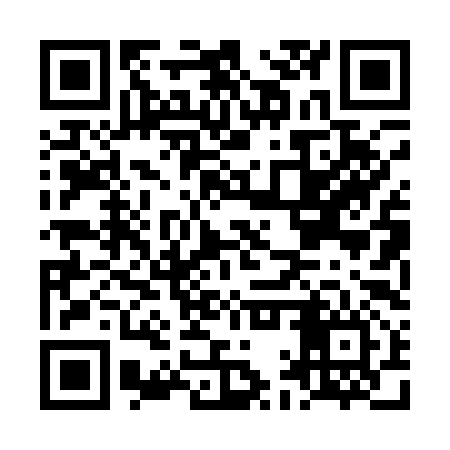 QR code for LAP196