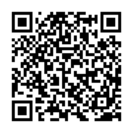 QR code for LAP217