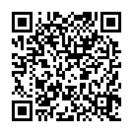 QR code for LAP307