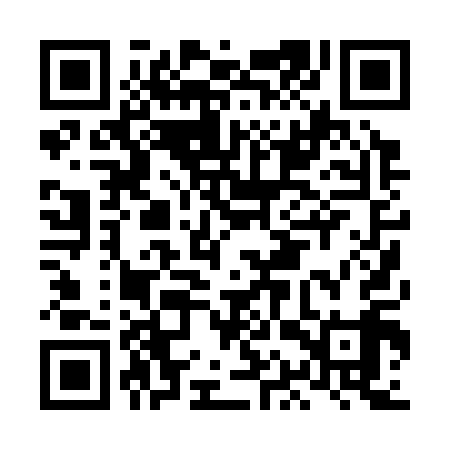 QR code for LAP319