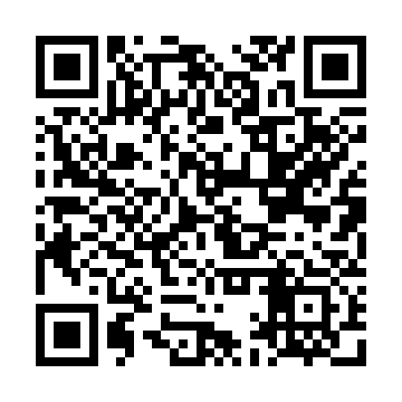 QR code for LAP333