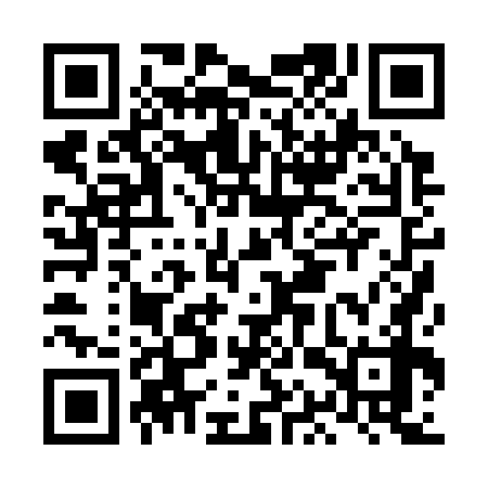 QR code for LAP378