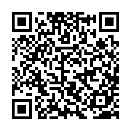QR code for LAP385