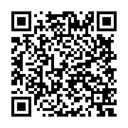QR code for LAP868