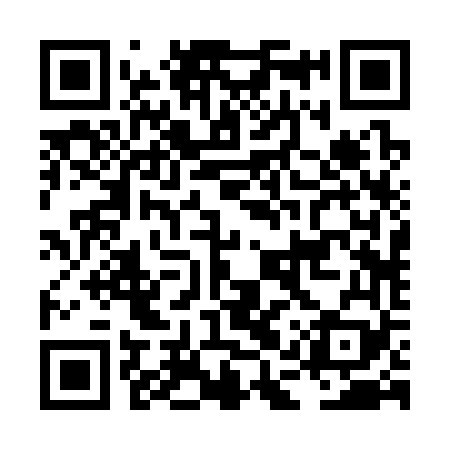 QR code for LAR369