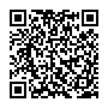 QR code for LAS463