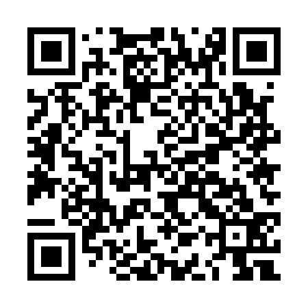 QR code for LAU133