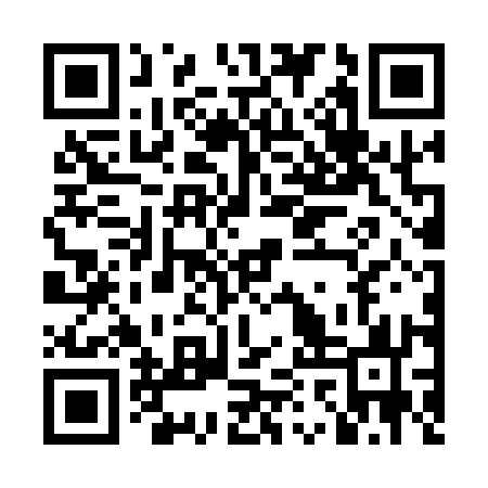 QR code for LAV113