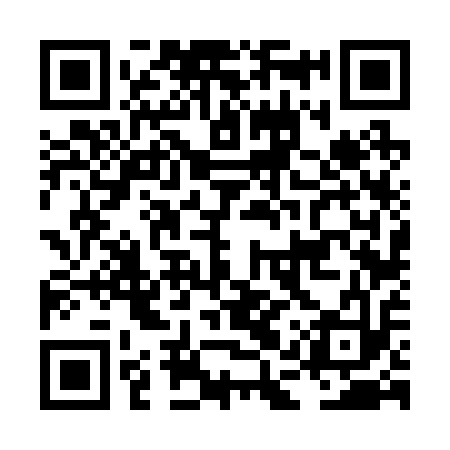 QR code for LAV213