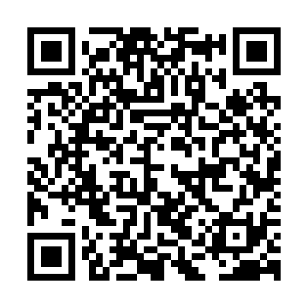 QR code for LAV231