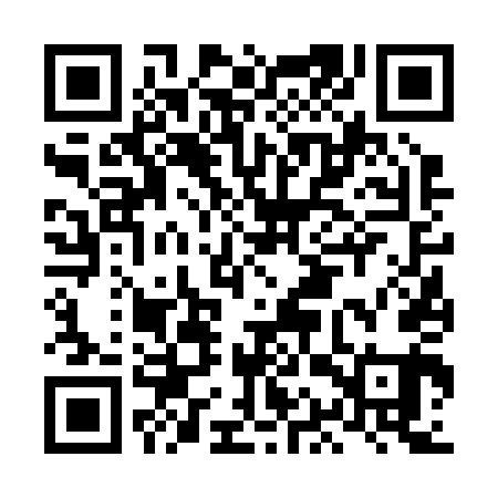 QR code for LAV241