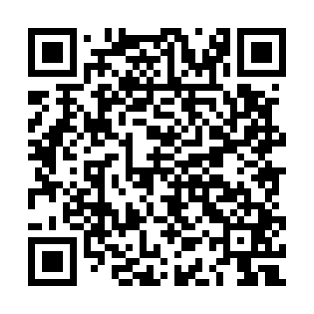 QR code for LAX541